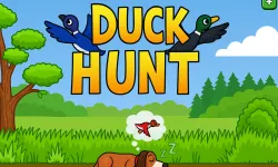 PLay Duck Hunt now!