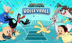 Looney Tunes Cartoons Volleyball