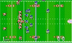 PLay Tecmo Super Bowl now!
