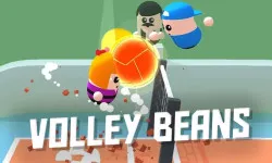 PLay Volley Beans now!
