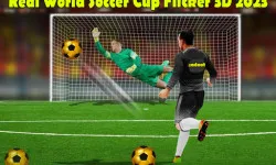 Real World Soccer Cup Flicker 3D 2023