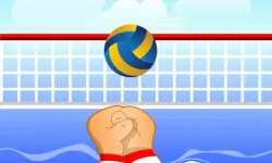 Volley ball